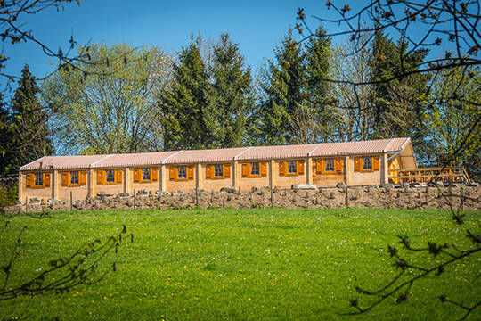 Die Alm auf dem Hügel